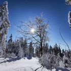 Wintertraum überm Renchtal