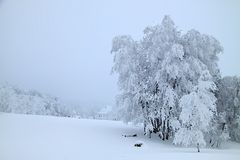 Wintertraum - wie gemalt