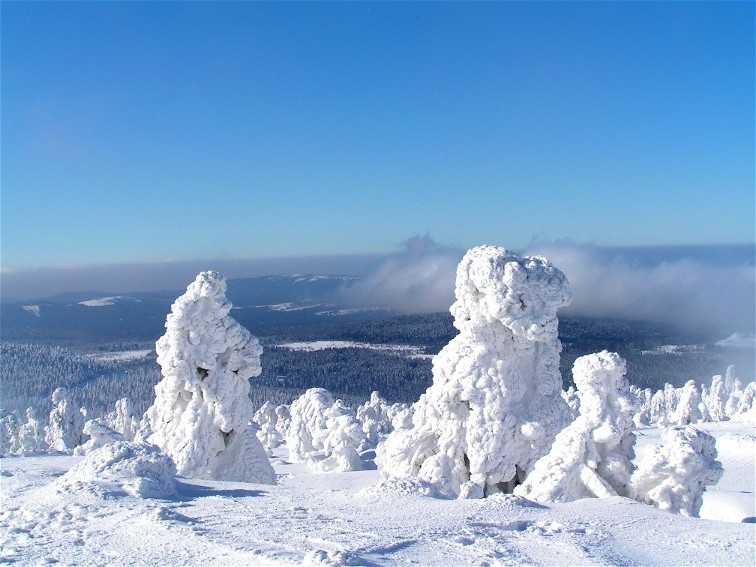 Wintertraumland