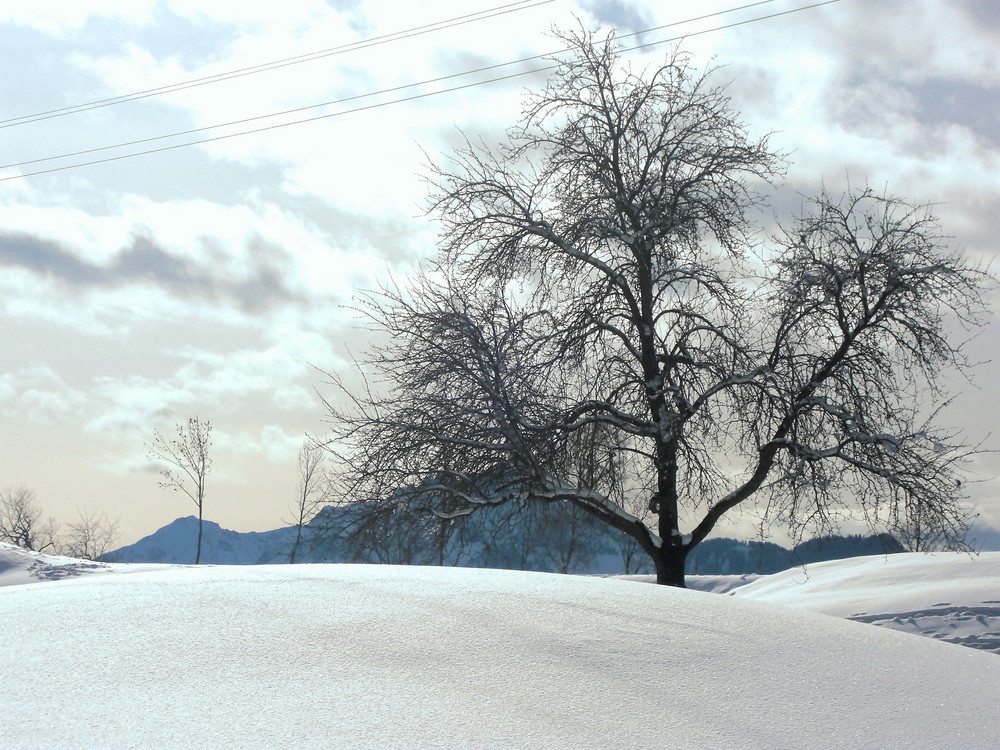 Wintertraumlandschaft.....