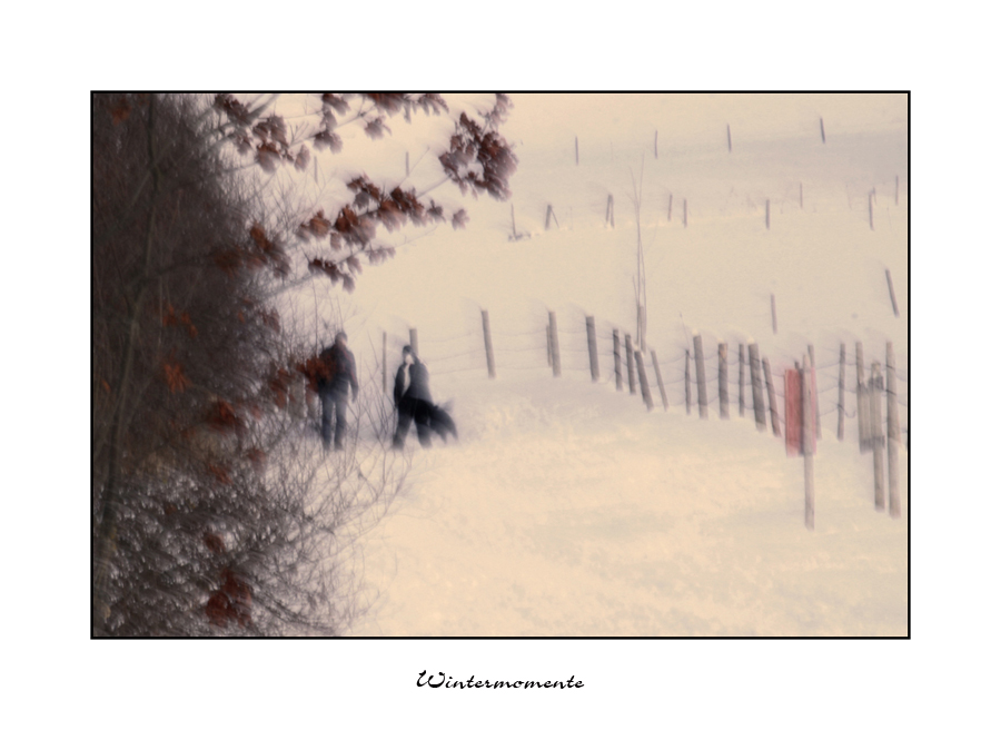 Winter"traum"landschaft