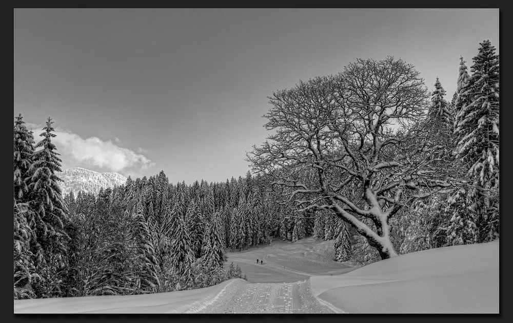 Wintertraumlandschaft