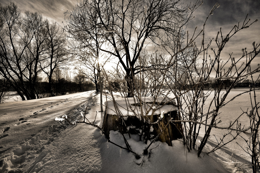 Winter(traum)landschaften............