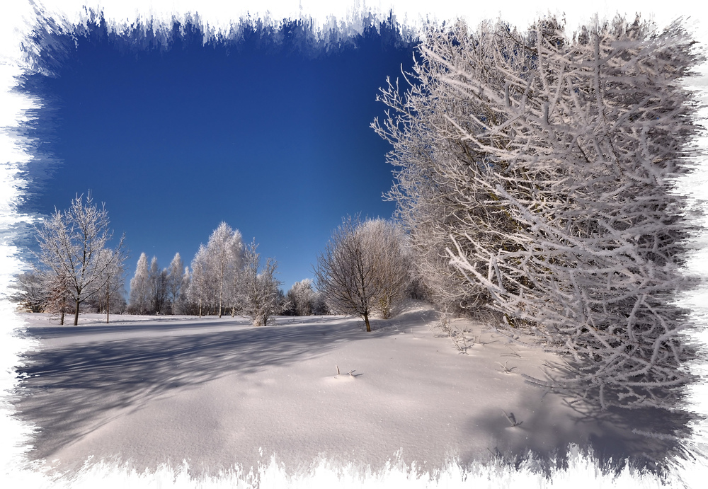 Winter(traum)landschaften.............