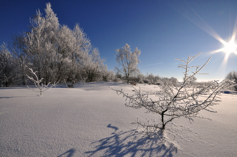 Winter(traum)landschaften...............