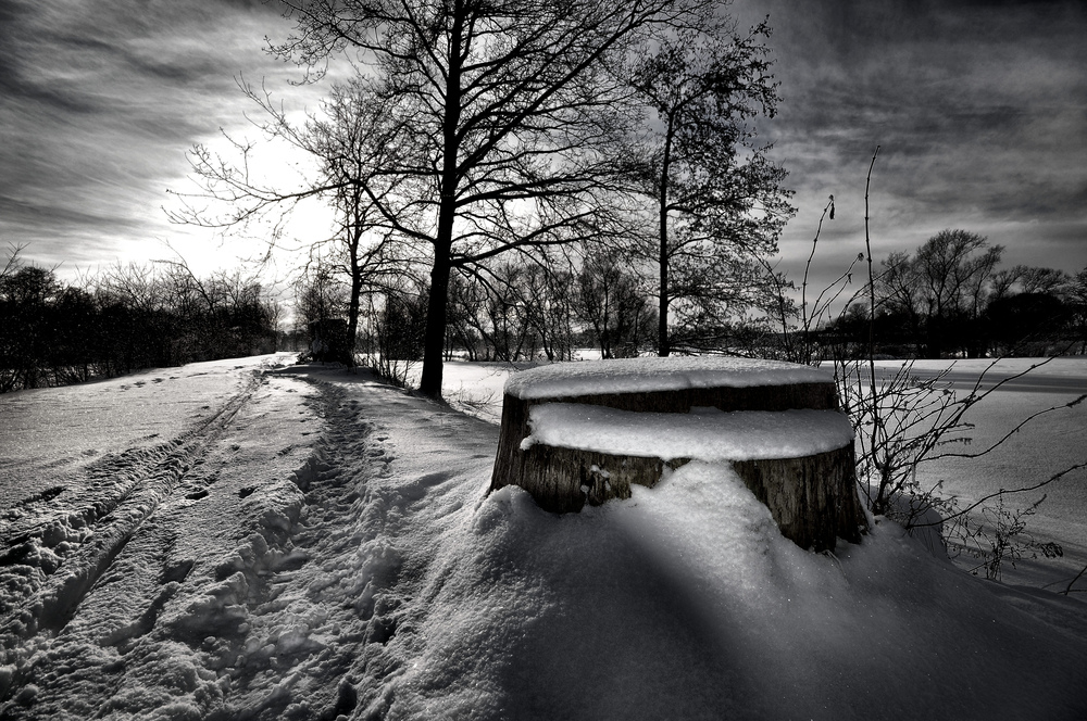 Winter(traum)landschaften...........