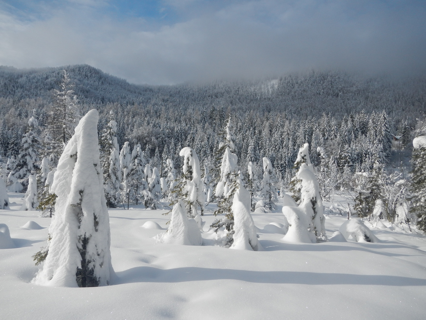 Wintertraumtänzer