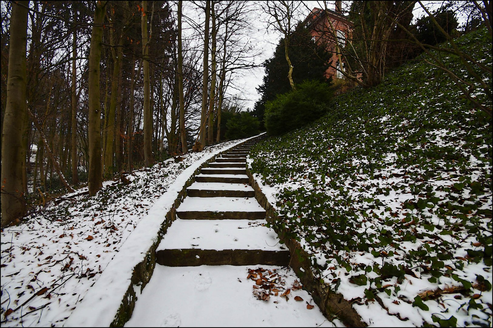 WinterTreppe