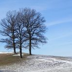 Wintertrio