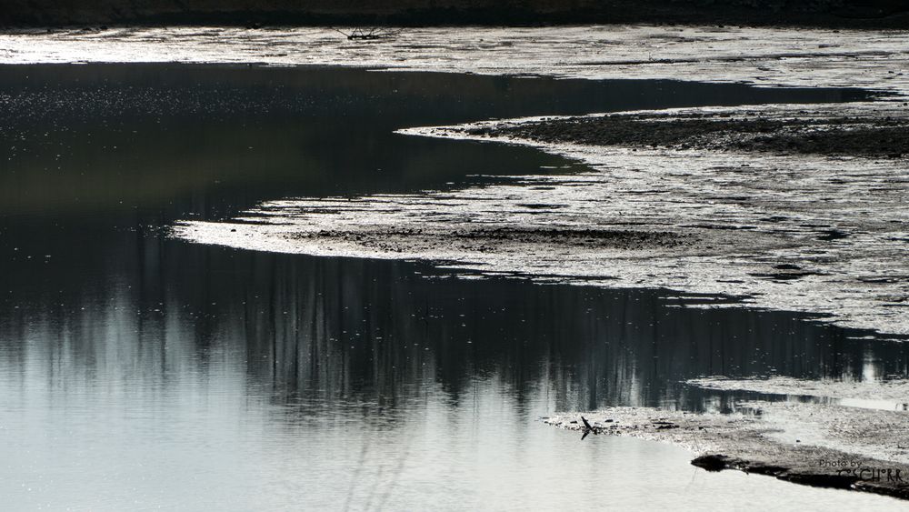 Wintertristesse am See