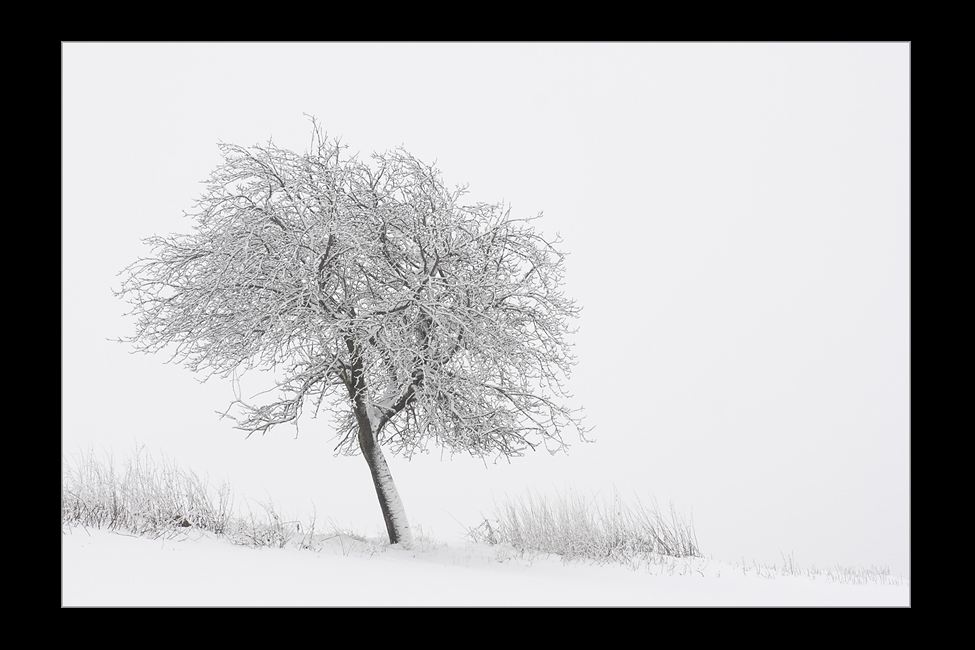 Wintertrüb