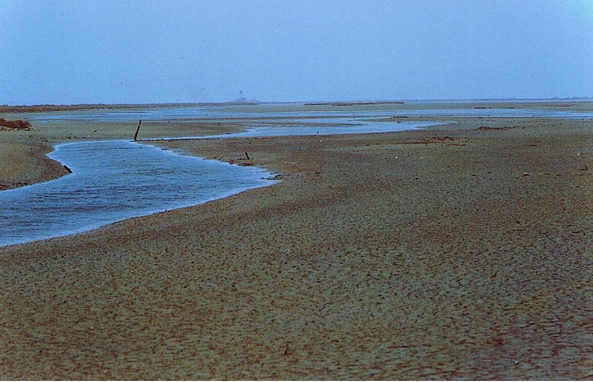 Wintertrüber Blick auf Strand