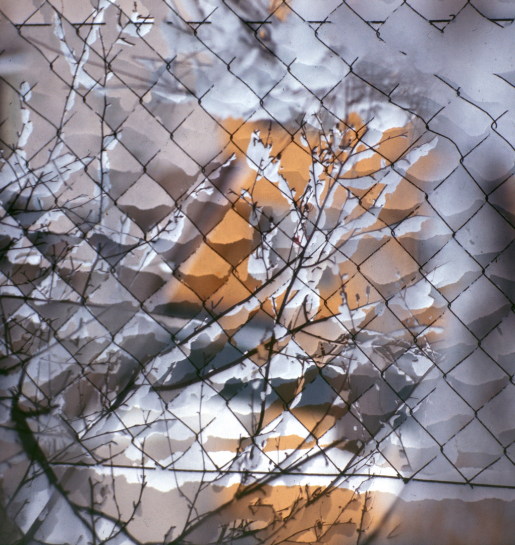 Winterttraum am Gartenzaun