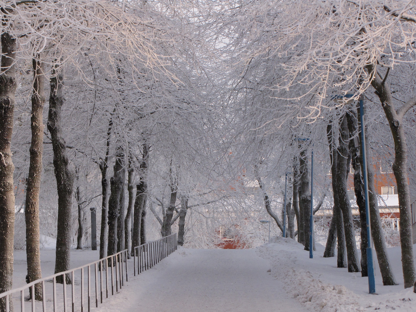 Wintertunnel