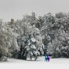 Winterüberraschung