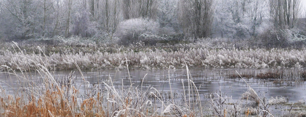 Winterüberraschung Mitte Januar 2025 - Ein eisiger Wintertraum vor der Haustür