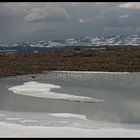 Winterüberreste-"Blick"