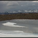 Winterüberreste-"Blick"