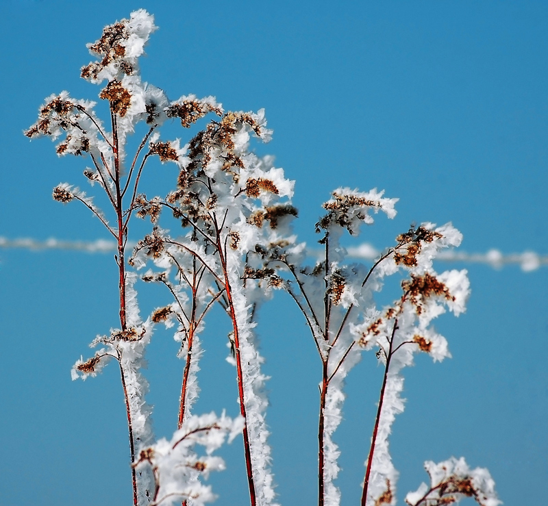 Winterurlaub