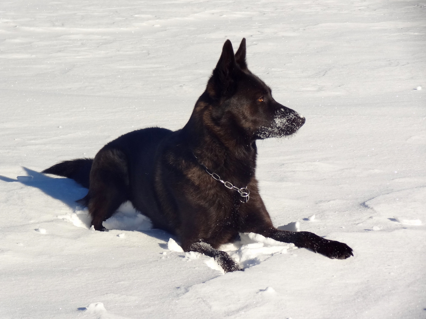 Winterurlaub macht Spaß..