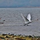 Winterurlaub Rügen 2016/ 2