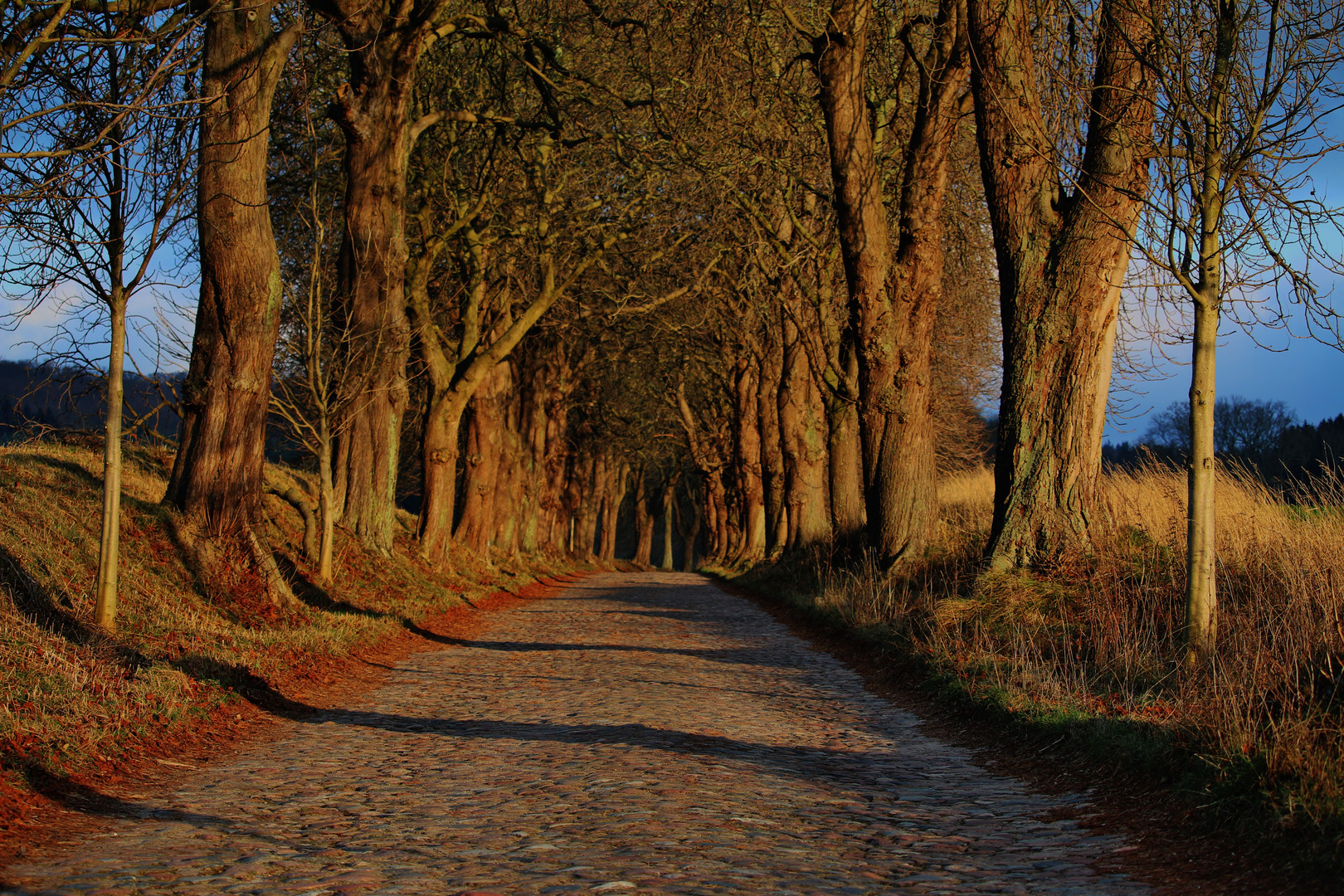 Winterurlaub Rügen 2016/5