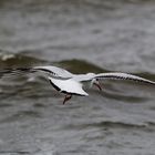 Winterurlaub Rügen 2017/ 7 ( mit dem Wind segeln )