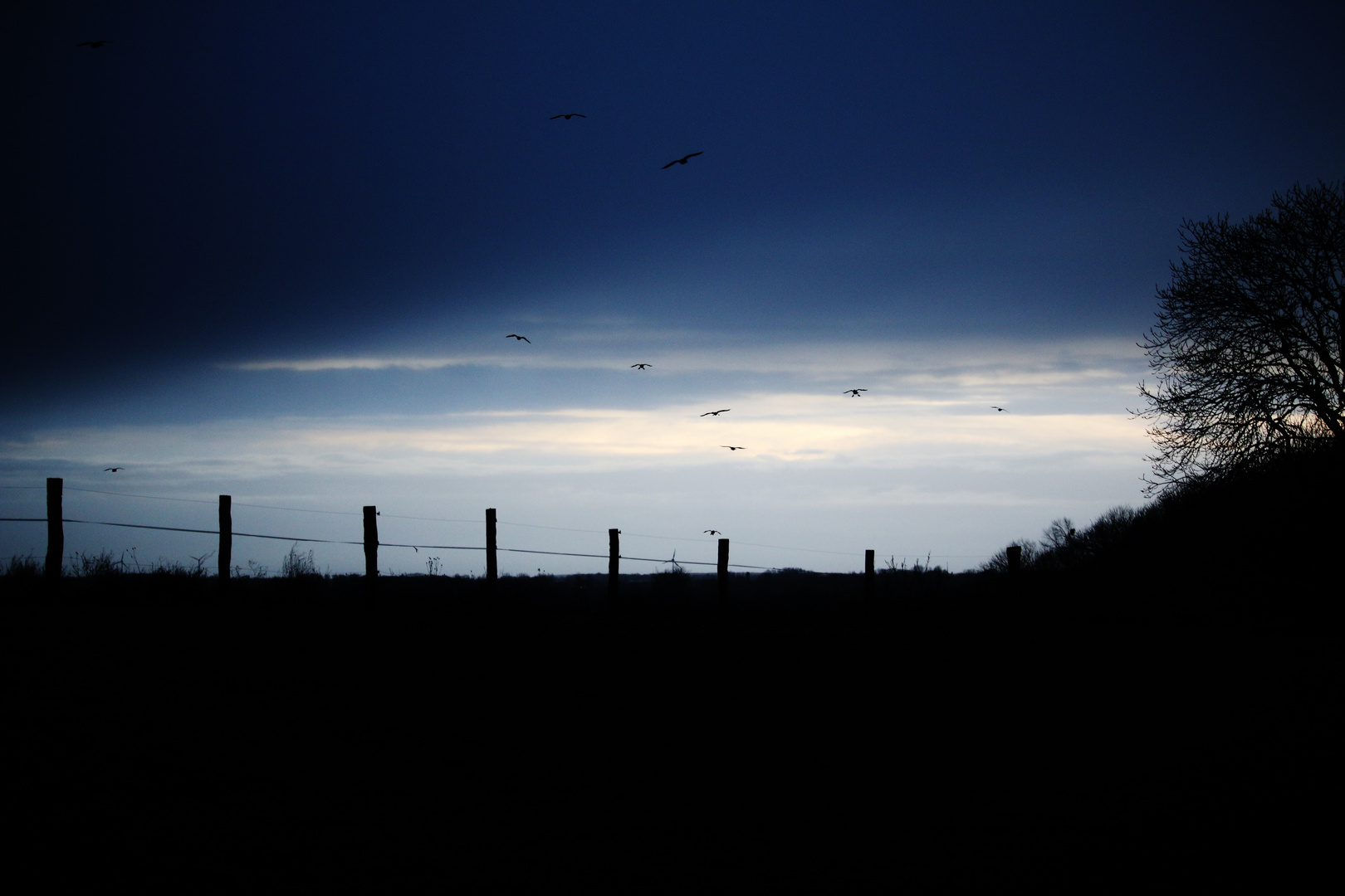 Winterurlaub Rügen 2018/ 8 ( Abendstimmung )