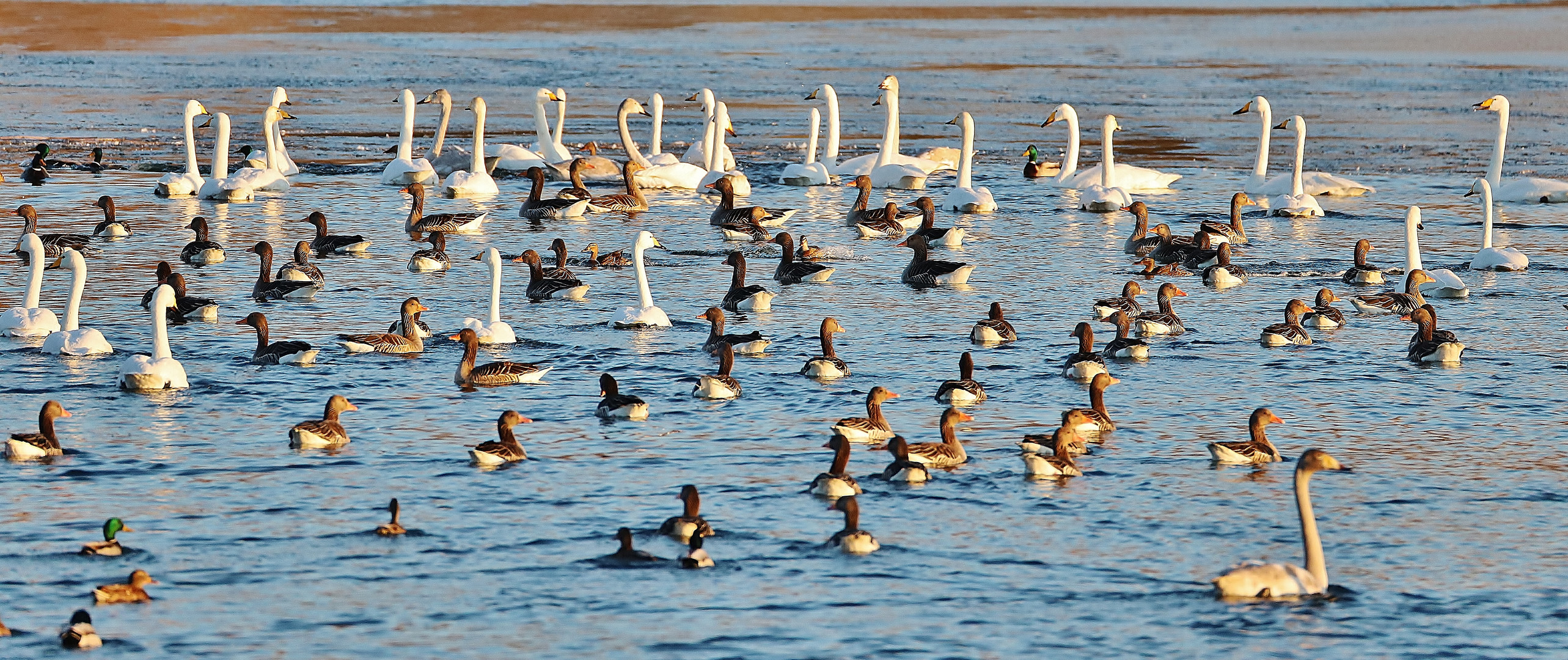 Winterurlaub Rügen 2021/ 23