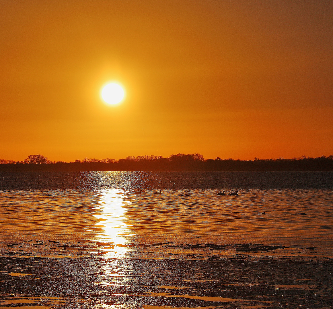 Winterurlaub Rügen 2021/ 34