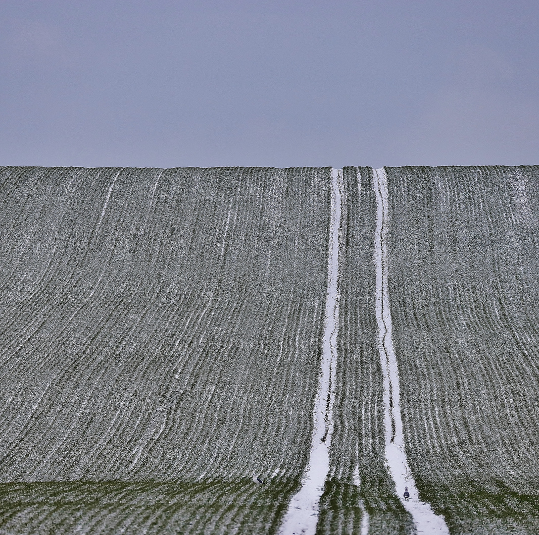 Winterurlaub Rügen 2021/ 5