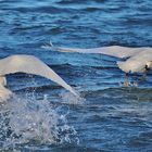 Winterurlaub Rügen 2022/ 16