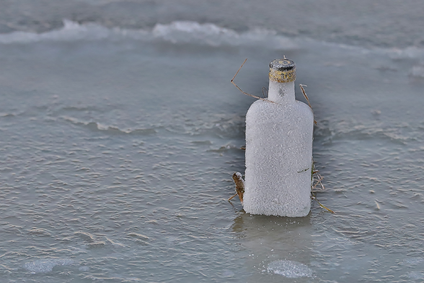 Winterurlaub Rügen  2022/ 4