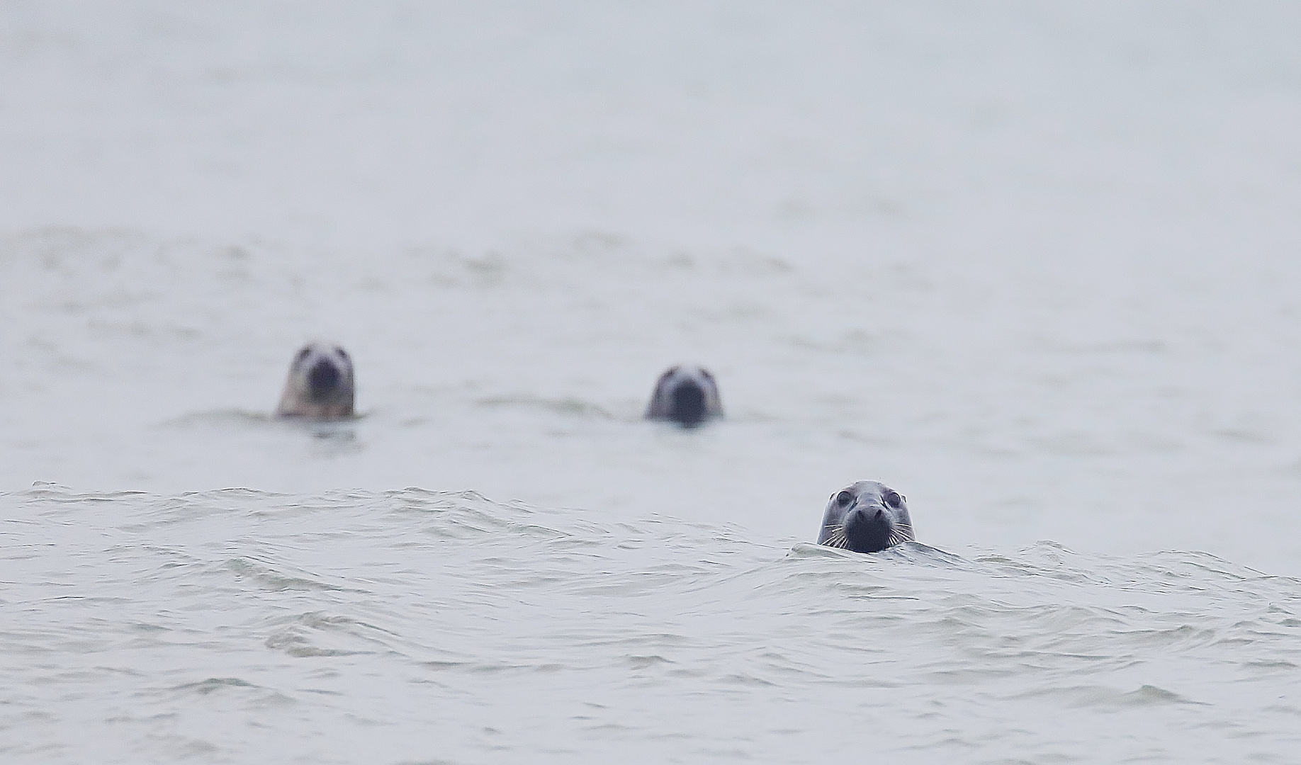 Winterurlaub Rügen  2022/ 8