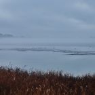 Winterurlaub Rügen Dezember 2022/ 10