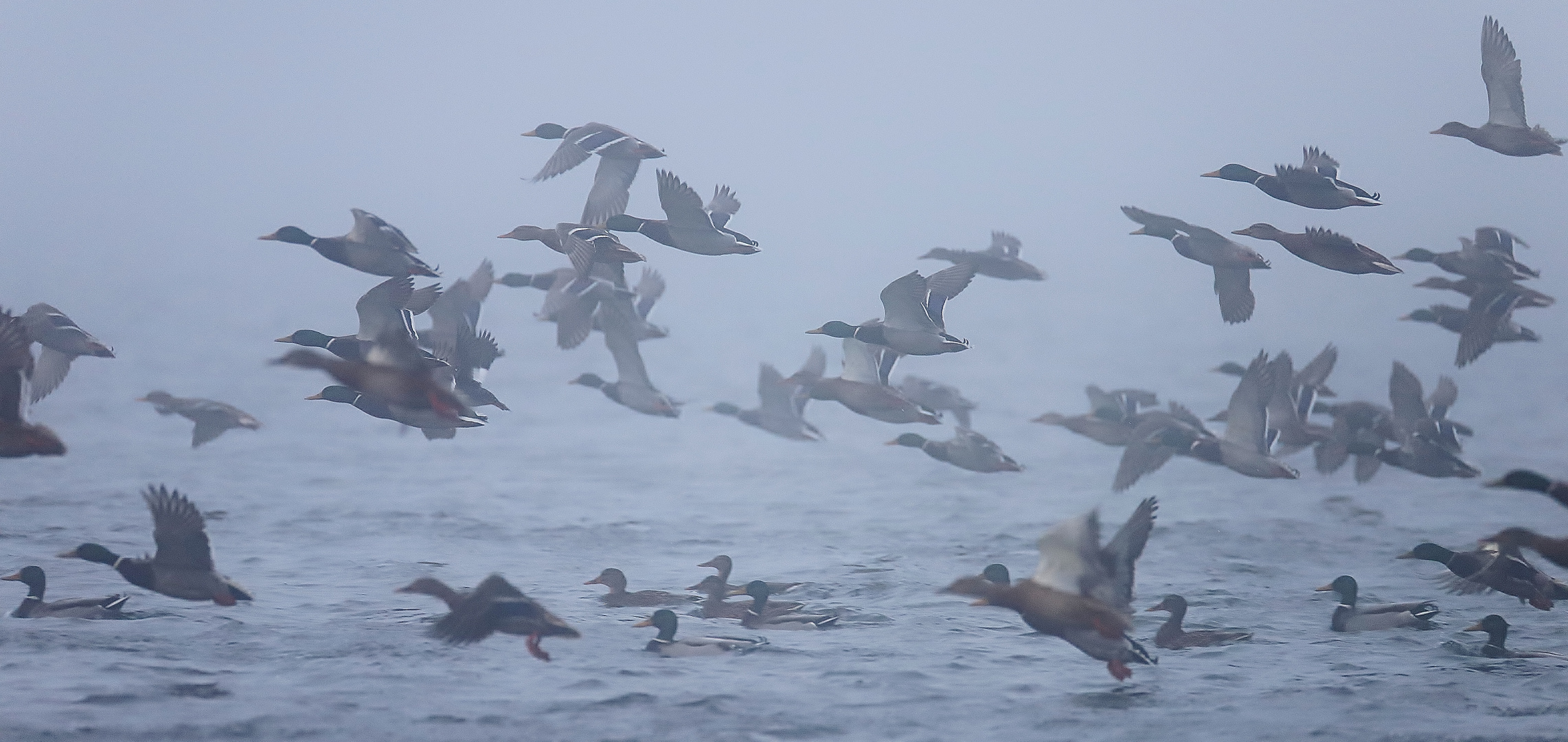 Winterurlaub Rügen Dezember 2022/ 42