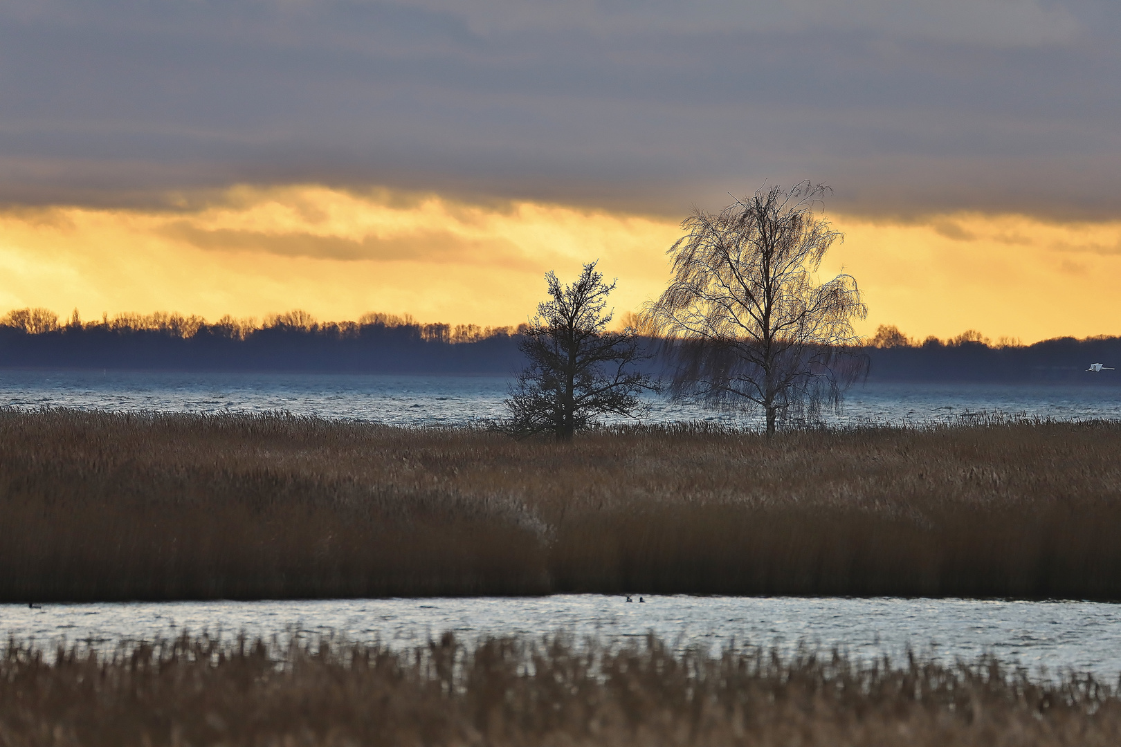 Winterurlaub Rügen Januar 2023/ 62