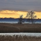 Winterurlaub Rügen Januar 2023/ 62