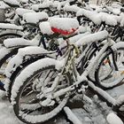 Wintervelo