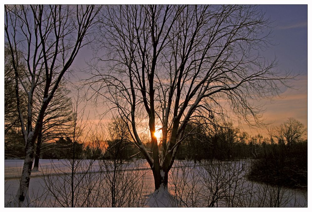 Winterverästelungen