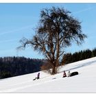 Wintervergnügen