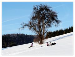 Wintervergnügen