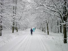 Wintervergnügen