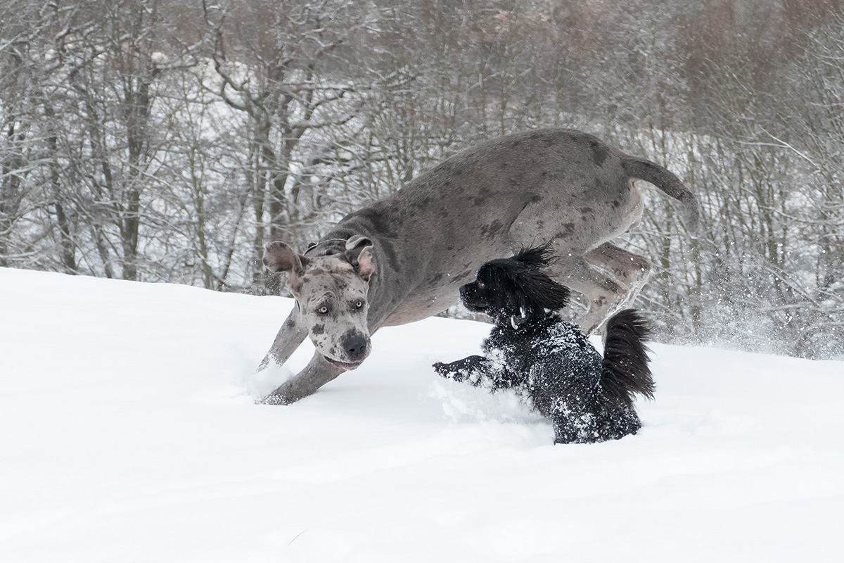 Wintervergnügen