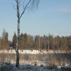 Wintervergnügen