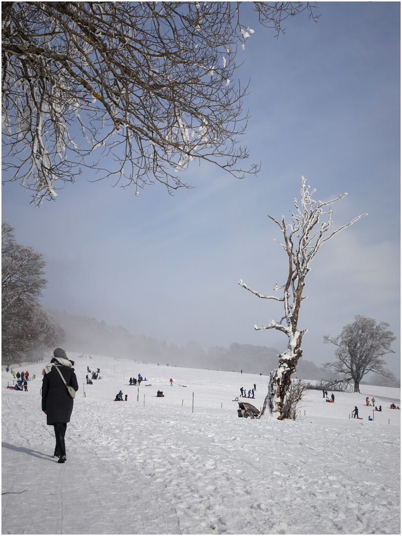 Wintervergnügen (I)