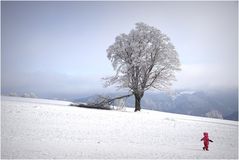 Wintervergnügen (II)