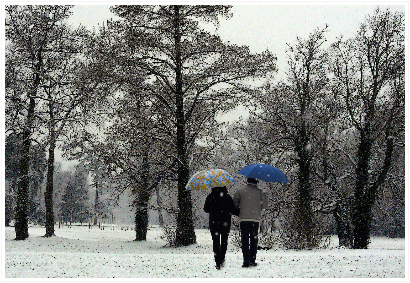 Wintervergnügen im Park von Sanssouci