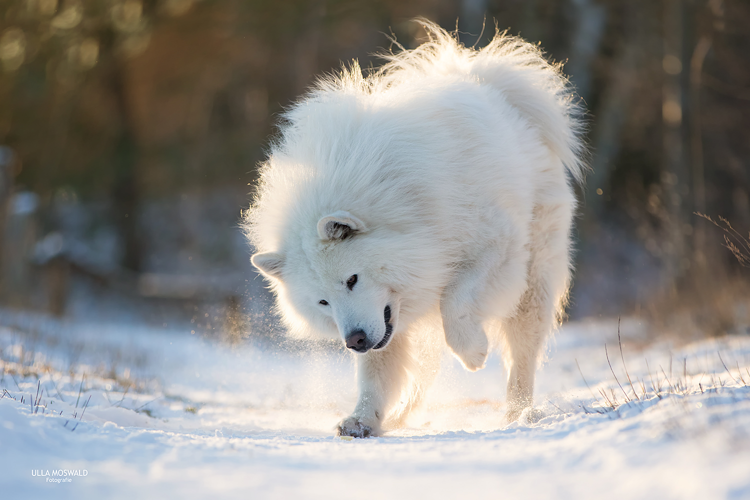 ...Wintervergüngen...