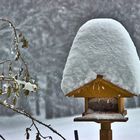 Winter_Vogelhaus_Schnee
